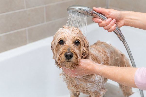bath routine