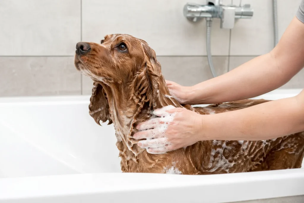 bath time calm
